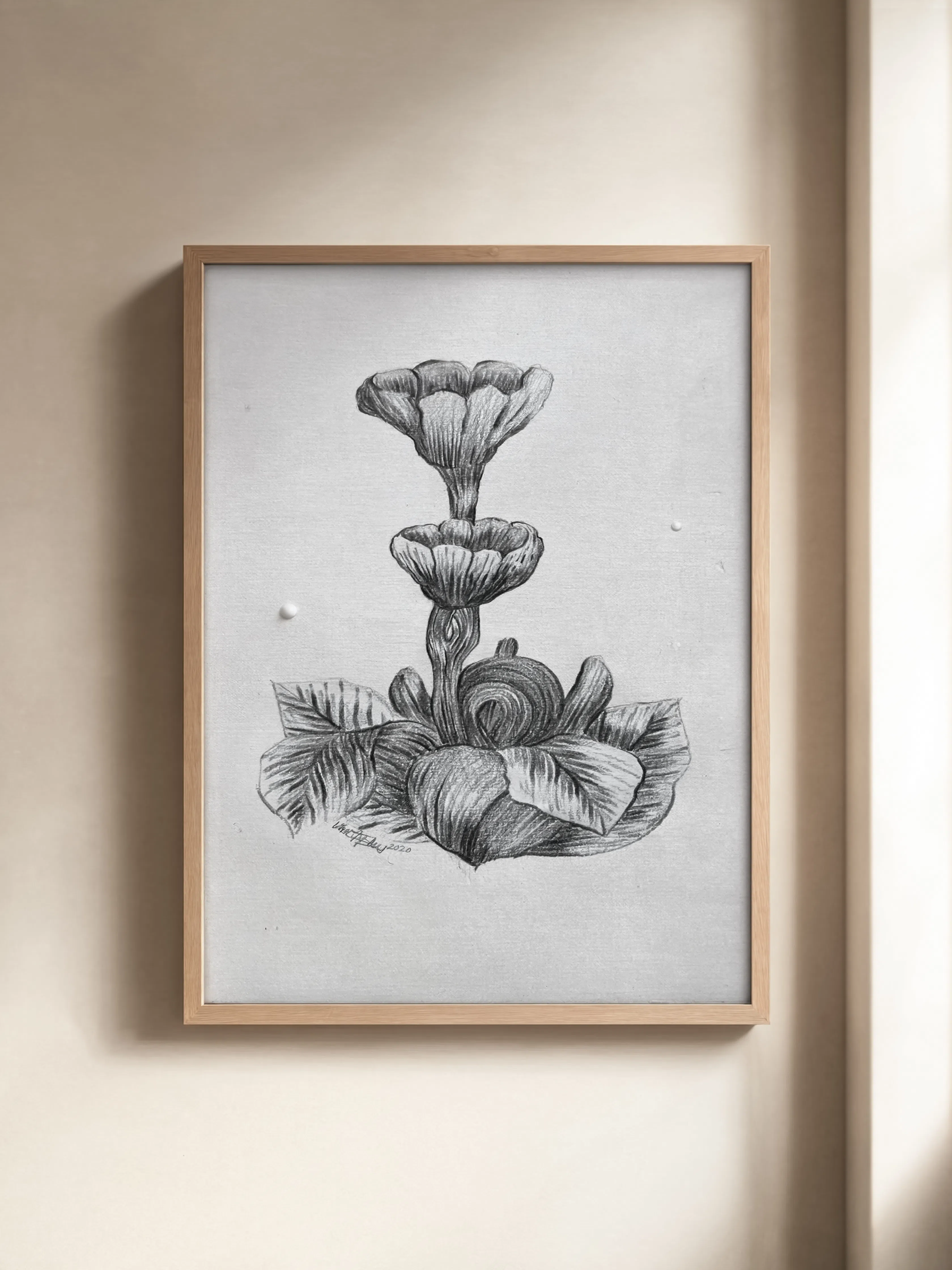 Botanical Bloom Pencil Shading Artwork